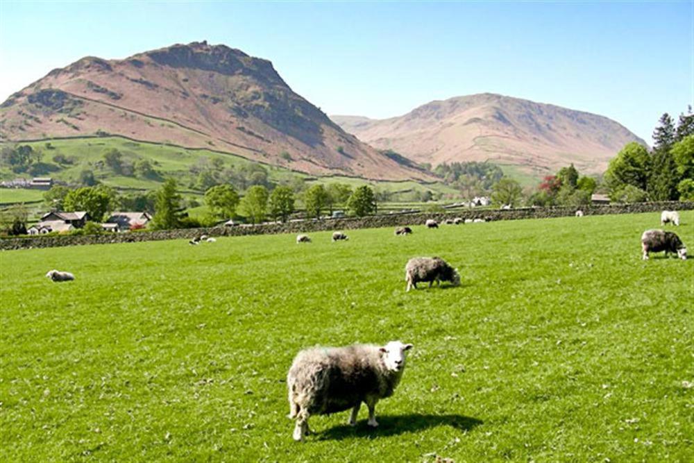 Molly'S Cottage Grasmere Exterior photo